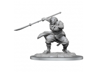 D&D Nolzur's Marvelous Miniatures: Oni - Female (Unpainted)